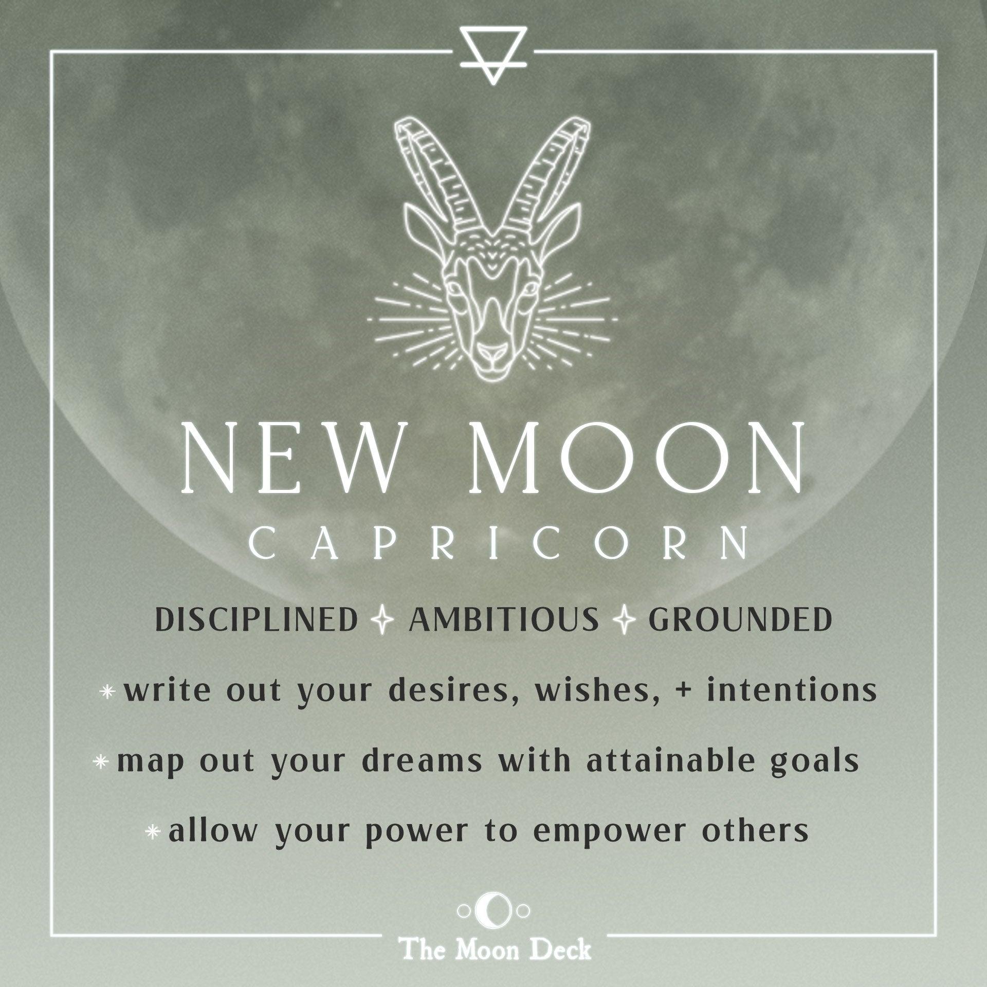 NEW MOON IN CAPRICORN :: Grounded Ambition